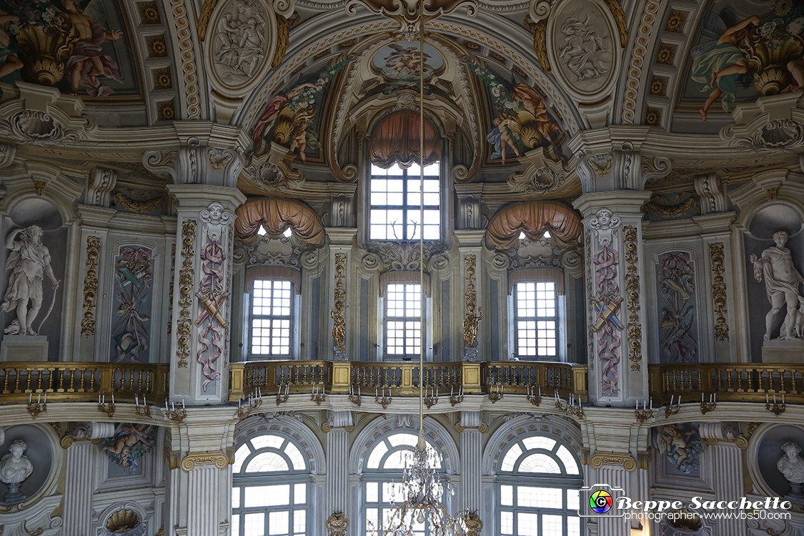VBS_6092 - Sotto il Cervo - Palazzina di Caccia di Stupinigi.jpg